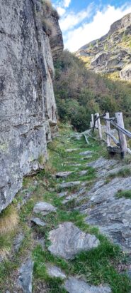 Bella mulattiera da seguire dietro alla baita