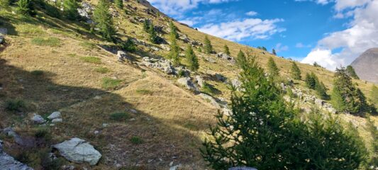 Da qui spiana un pò...non troppo