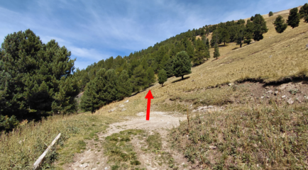 sentiero dopo la presa d'acqua