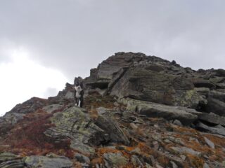Verso la cima