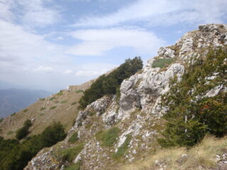 cresta M. Rotondo