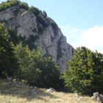 la cresta verso M. Savina