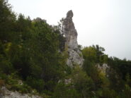 il Coniglio