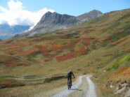 primi colori autunnali