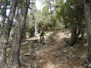 sentiero ben ciclabile.. tranne in un tratto molto roccioso in cui si accompagna la bike