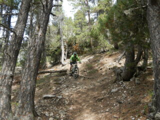 sentiero ben ciclabile.. tranne in un tratto molto roccioso in cui si accompagna la bike
