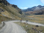 sterrato di salita ampio e in ottime condizioni