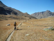 bella discesa con lunghi tratti in falsopiano