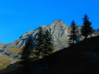 Uja di Ciamarella all'alba