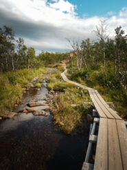 Le passerelle di legno