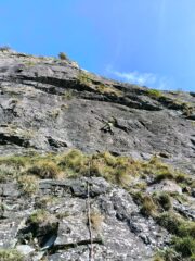 Bella placca nerastra di L2