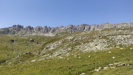 oplus_0