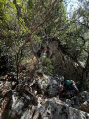 Calata da eucalipto per superare salto di roccia