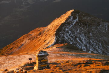 primo piano della Punta di Metz