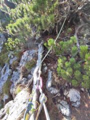 Ultimo tiro, sosta su mugo