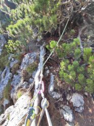 Ultimo tiro, sosta su mugo