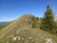 La cresta per la Cima Ventosa 