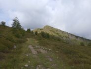 Verso la Cima Missun (m.2256)