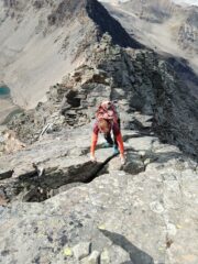 sulla placca inclinata