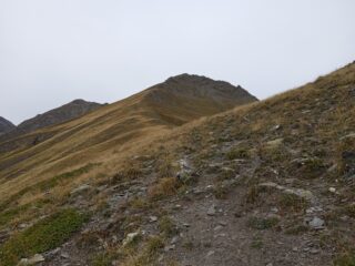 Salita verso la Cima di Bardia 