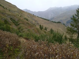 Discesa dal Colle Rastel verso Chianale 