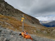 Dal Pas de la Beccia si intravede la traccia che attraversa la pietraia