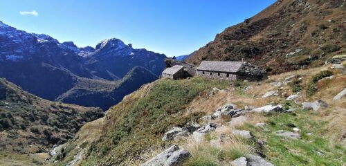 Alpe Straolgio