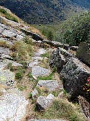 Discesa sul Pian delle Riane