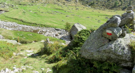 Quasi al Pian delle Riane