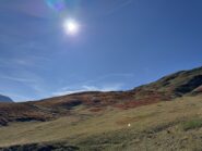 ambiente e colori autunnali 