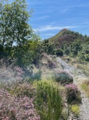 Sul sentiero di discesa nei pressi del Passo del Dente
