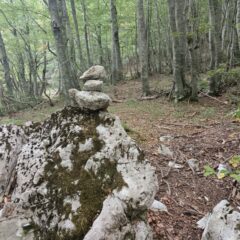 ometti lungo il vecchio sentiero
