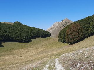 Valle Dentro