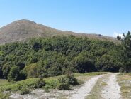 Colle delle Nocelle