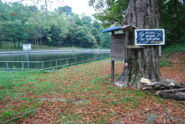 Ai Laghi di Nonio dove partono, non indicati, i due sentieri T22 e T24