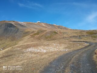 Monte Chaz Dura