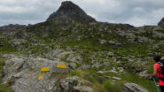 Passo Valdobbia