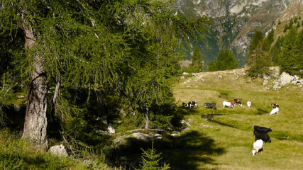 Il traverso verso la valle dei Principi