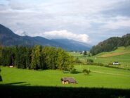 Uno scorcio sui pascoli.