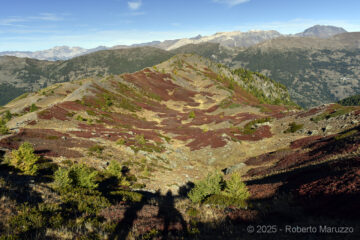 Vista verso il clot della soma 