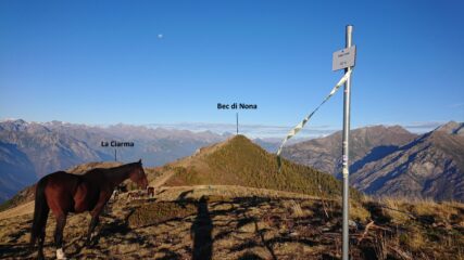 Bec di Nona dalla Cressa