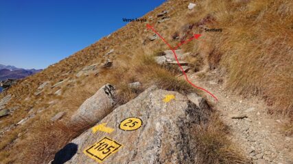 Quota 2570 si abbandona il sentiero