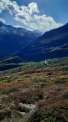 alpeggi