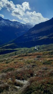 alpeggi