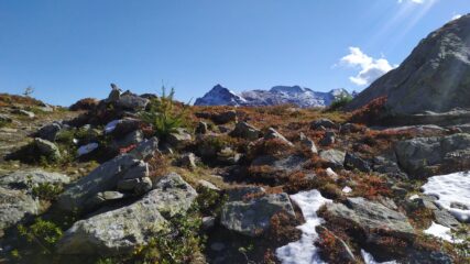 colori d'autunno