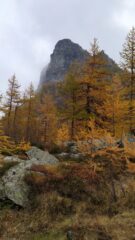 La Rocca dal sentiero 218