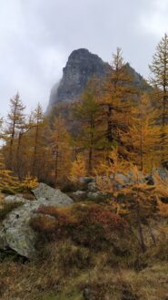 La Rocca dal sentiero 218