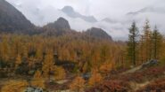 Bessanese in veste autunnale