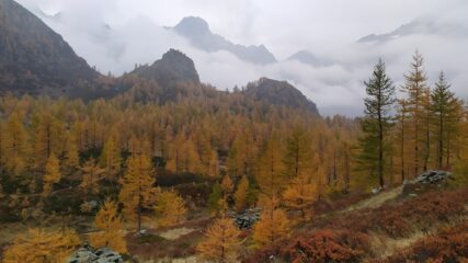 Bessanese in veste autunnale