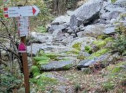 Dopo l'alpe Losera